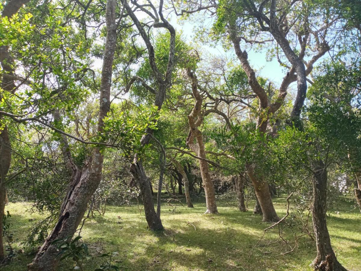 Casa De Campo Cerca Del Cabo Βίλα Rincón de los Oliveras Εξωτερικό φωτογραφία